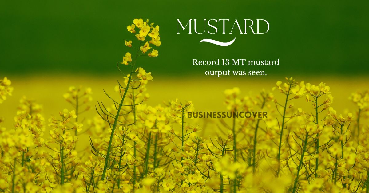 Mustard Record 13 MT mustard output was seen.