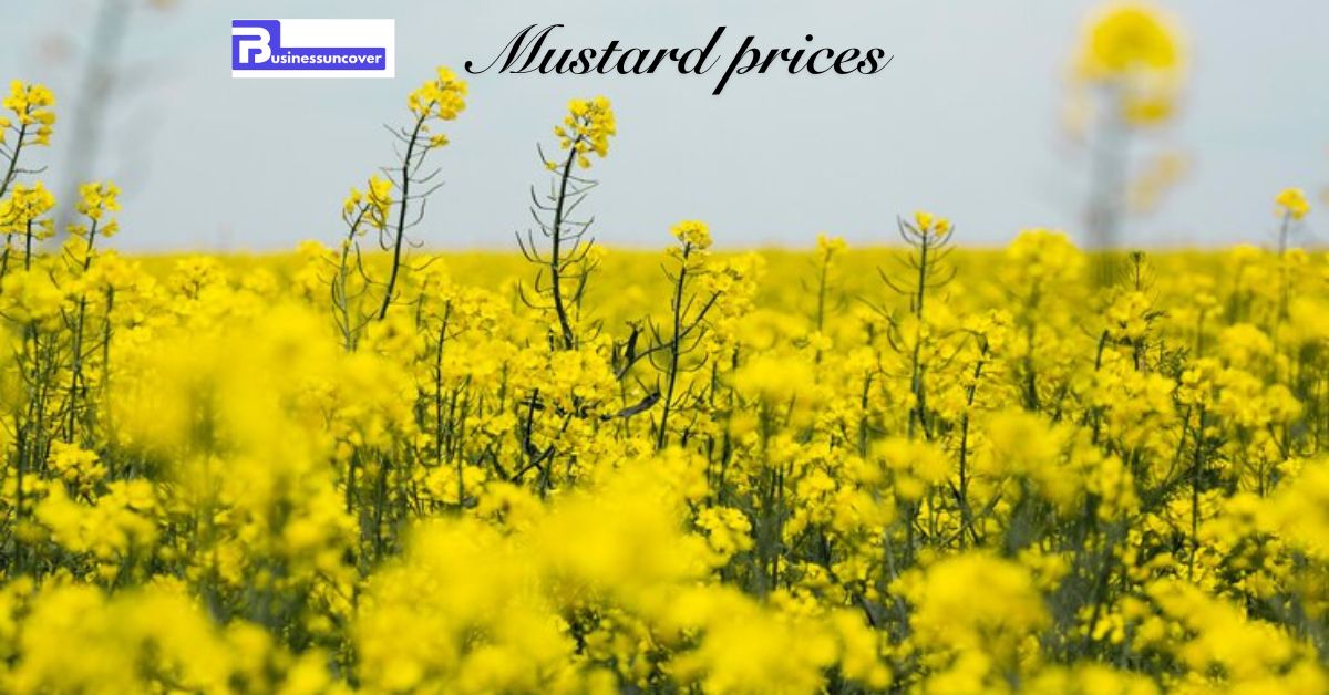 Mustard prices persist below MSP despite govt intervention efforts