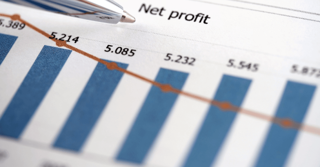 Example of Profit and Loss Account