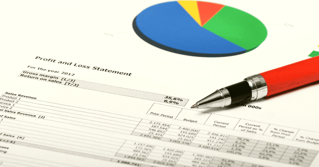 Examples of the Profit and Loss Statement