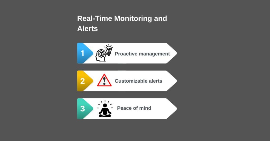 Real-Time Monitoring and Alerts