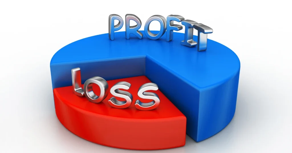 What is the meaning of a Profit and Loss Account?