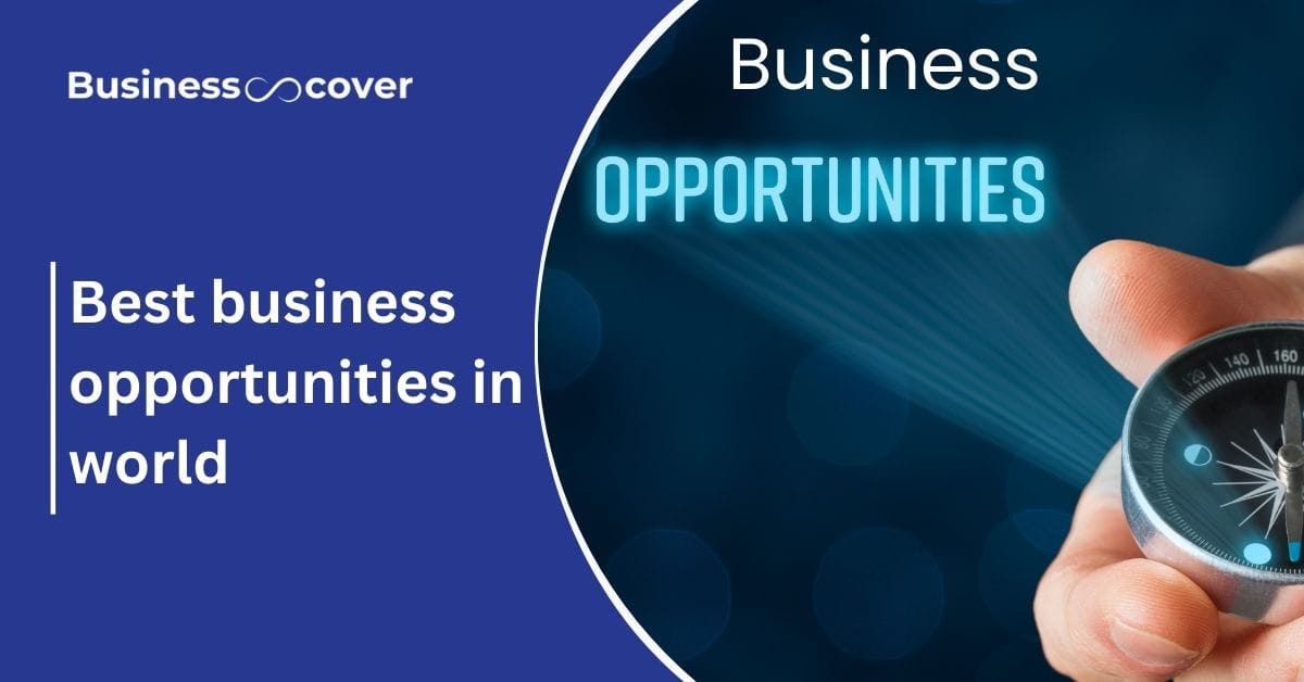 Best business opportunities in world