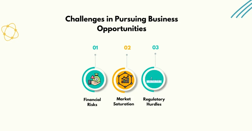 Challenges in Pursuing Business Opportunities